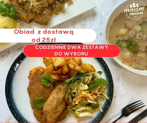 Dlaczego dwudaniowy obiad z Mniam Fit w Elblągu wygrywa z tradycyjnym kebabem?